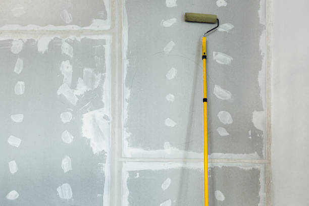 Best Dehumidification Services  in Adrian, MO