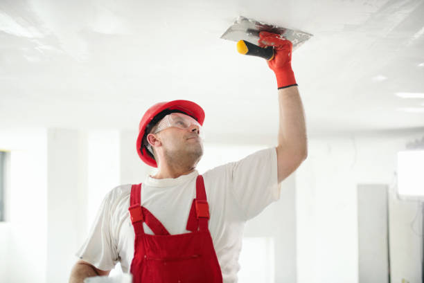 Best Mold Remediation for Rental Properties  in Adrian, MO