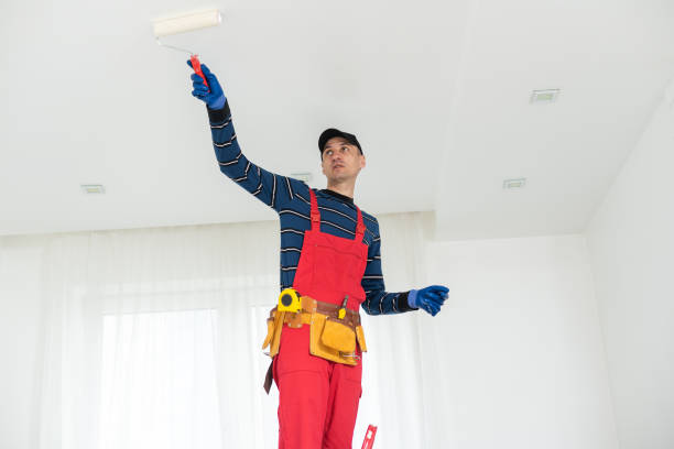 Best Basement Mold Removal  in Adrian, MO