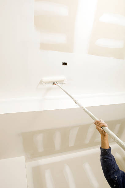 Trusted Adrian, MO Mold Removal Experts