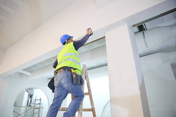 Best Post-Construction Mold Inspection  in Adrian, MO