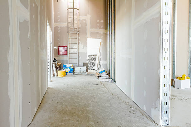 Best Mold Odor Removal Services  in Adrian, MO